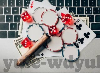 电脑水果机的技巧-电脑水果机技巧解析