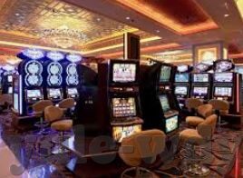 免费的森林舞会游戏下载-免费体验自然韵律，森林舞会游戏下载指南